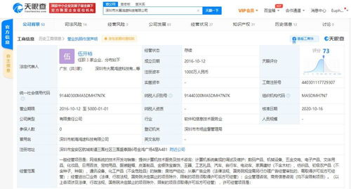 计算机系统集成服务 构建智能未来的关键桥梁